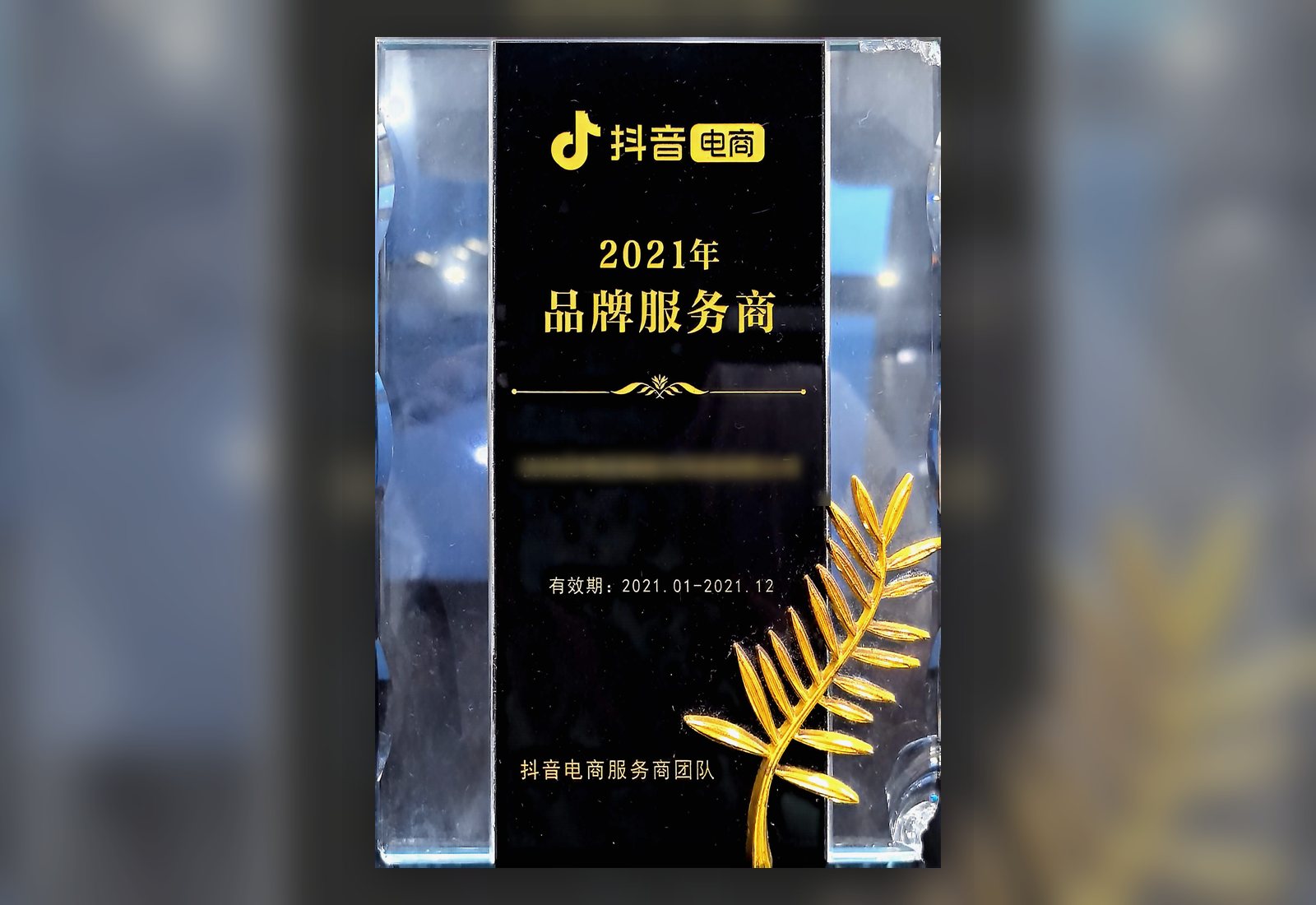 2021 Douyin E-commerce Brand Service Provider award