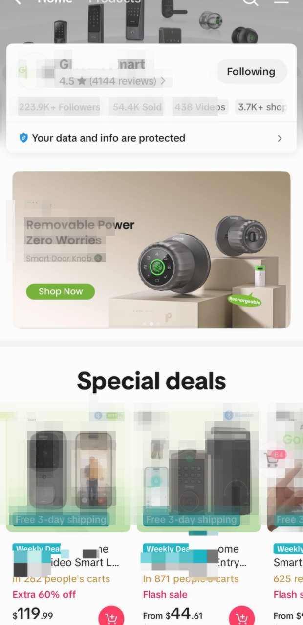 Anonymized TikTok Shop smart appliance client case