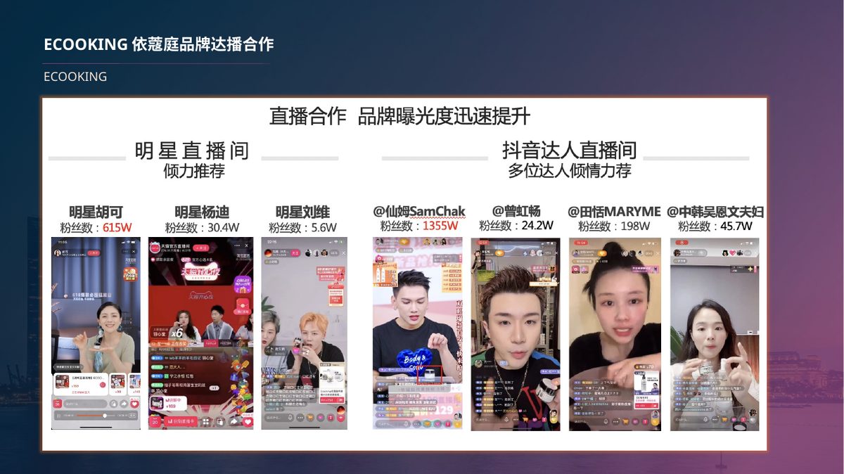 达人资源整合案例展示